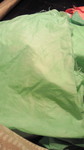 201103131908000.jpg