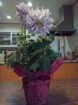 image/2014-05-22T07:55:29-1.jpg